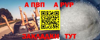 амф Гай