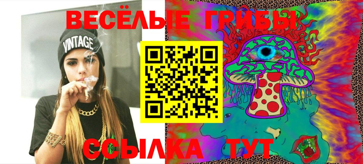 Новоалександровск  Галлюциногенные грибы MAGIC MUSHROOMS  купить наркотики цена  Вход с VPN 