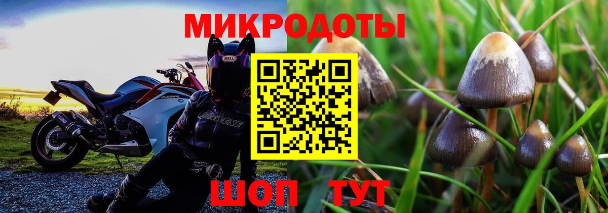 Псилоцибиновые грибы мухоморы Новоалександровск